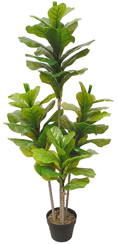 A tall 135cm Artificial Fiddle Fig with realistic green leaves, perfect for home or office decor.