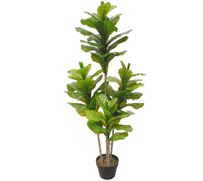 A tall 135cm Artificial Fiddle Fig with realistic green leaves, perfect for home or office decor.