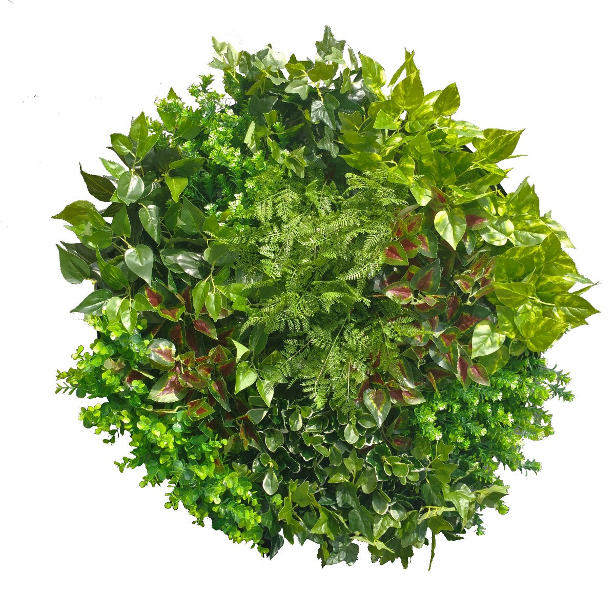 80cm Artificial Green Wall Disc Art featuring mixed ferns in Onyx Black, showcasing a circular design with lush greenery and a sleek metal border.