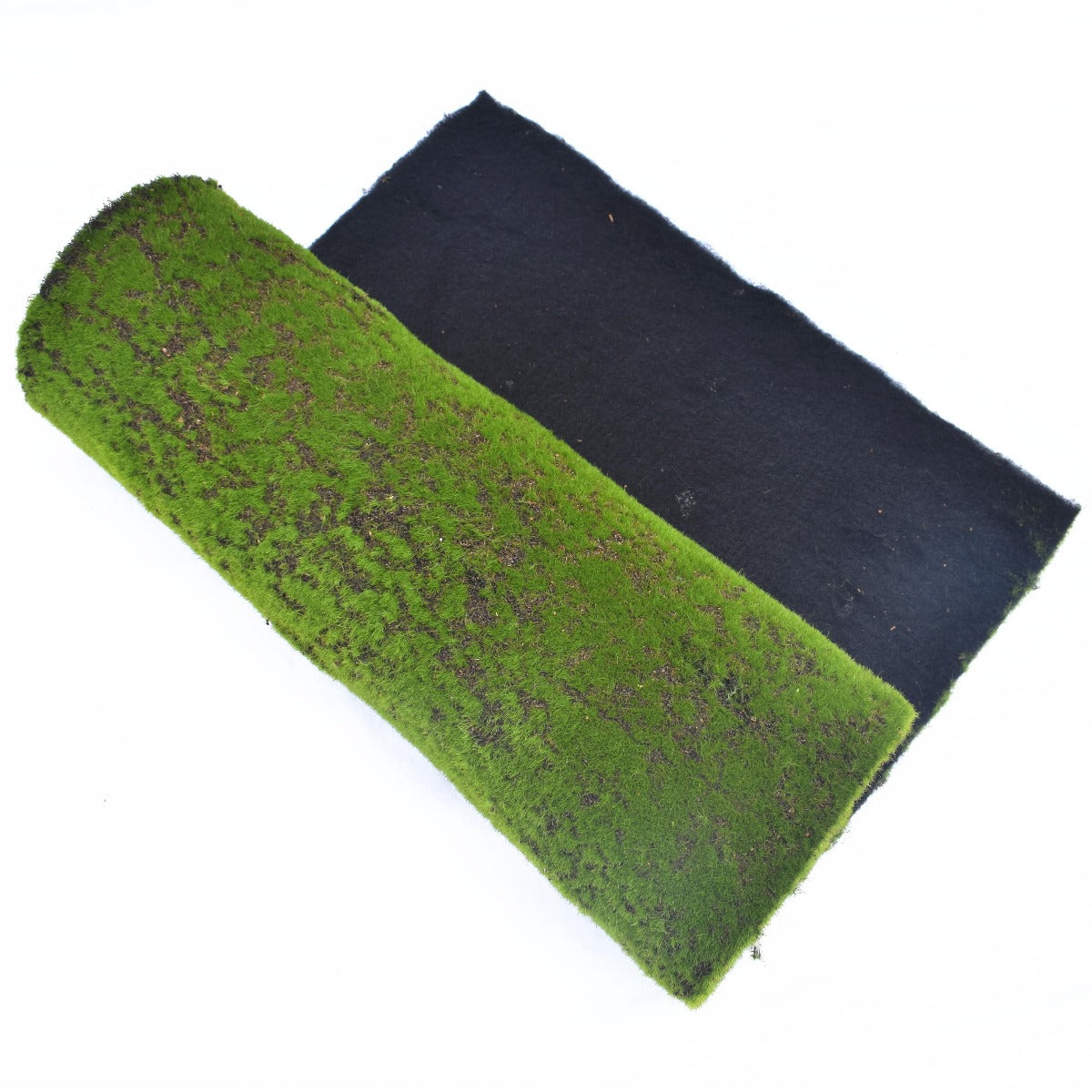 Artificial Moss Wall Covering measuring 200cm x 50cm, featuring lush green decorative moss on one side with a black underlay.