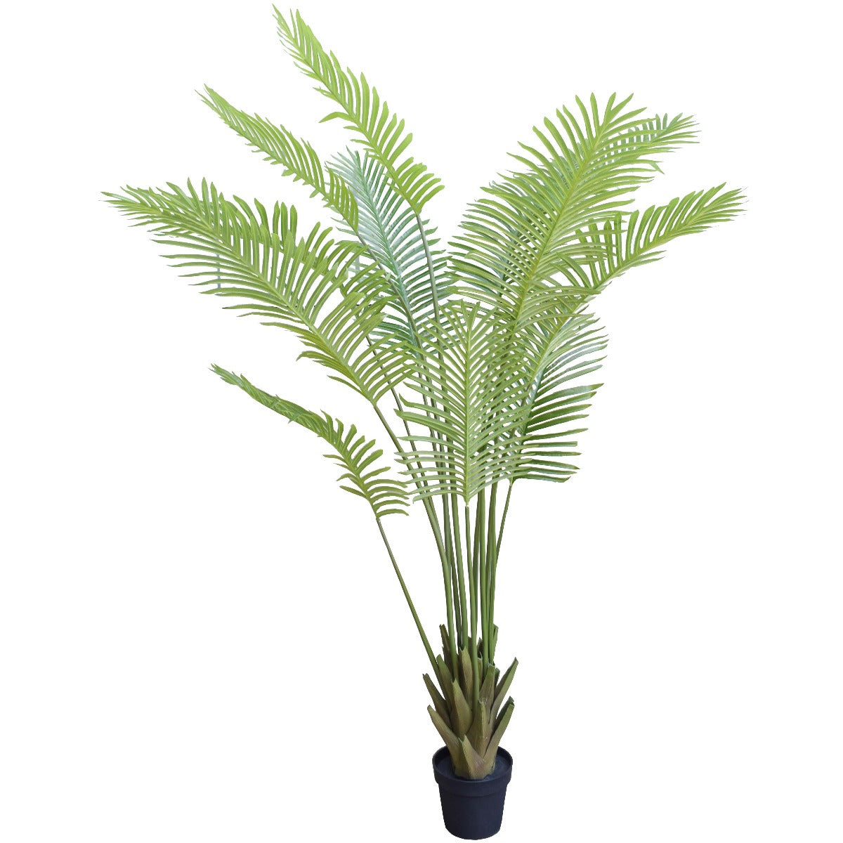 Artificial Multi Stem Hawaii Palm standing 190cm tall, featuring lush green fronds and a realistic multi stem design, perfect for indoor and outdoor decor.