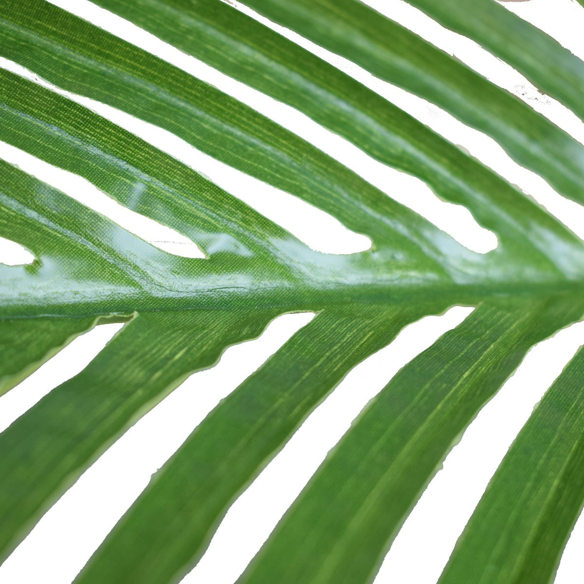 Artificial Multi Stem Hawaii Palm standing 190cm tall, featuring lush green fronds and a realistic multi stem design, perfect for indoor and outdoor decor.