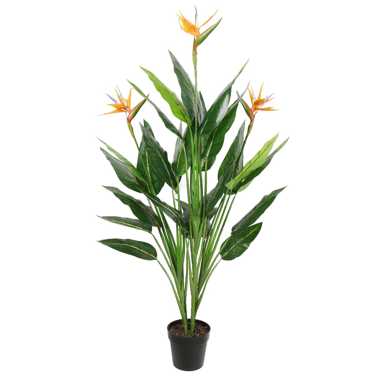 A 150cm tall artificial Bird of Paradise plant with vibrant green leaves and colorful blooms, set in a decorative pot.