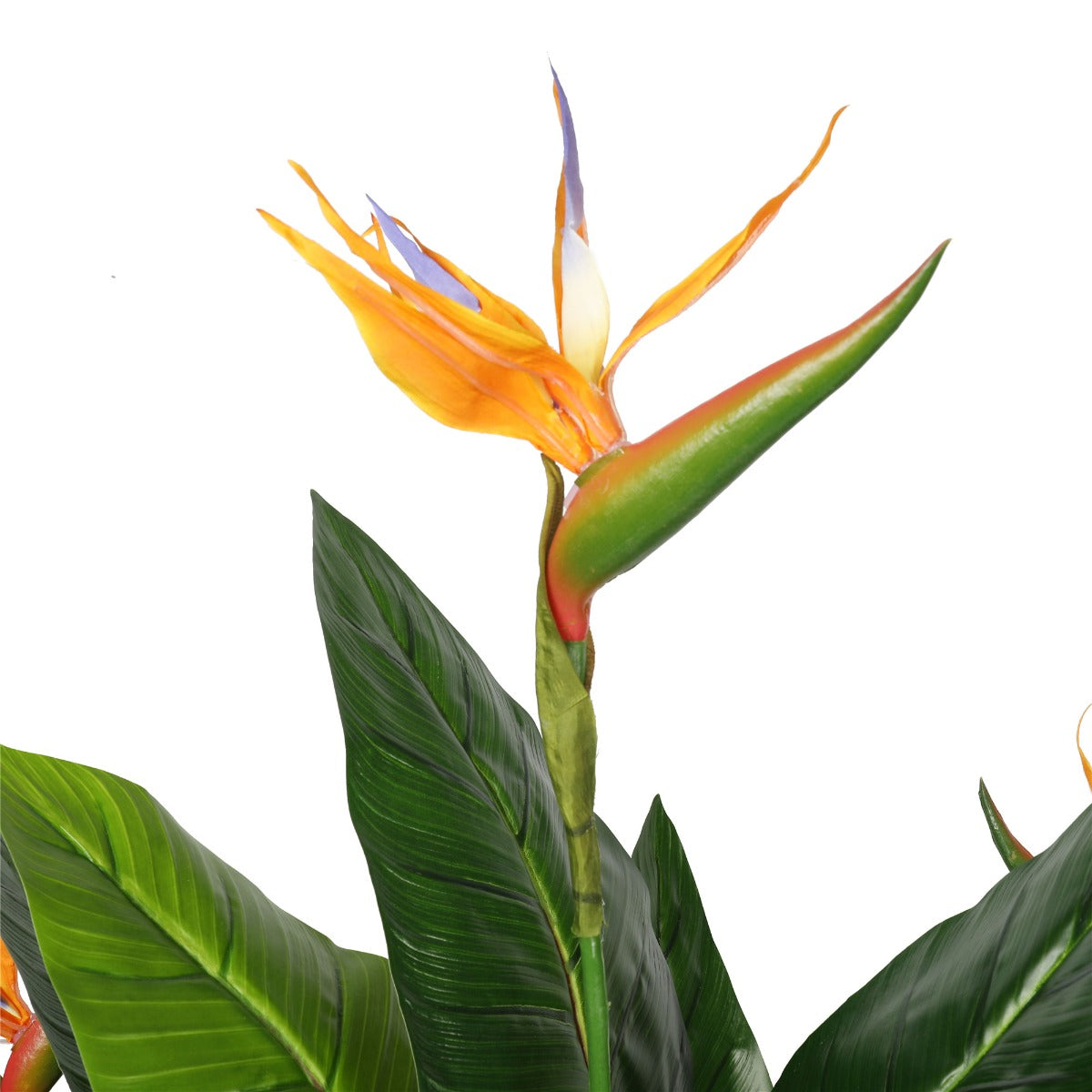 A 150cm tall artificial Bird of Paradise plant with vibrant green leaves and colorful blooms, set in a decorative pot.