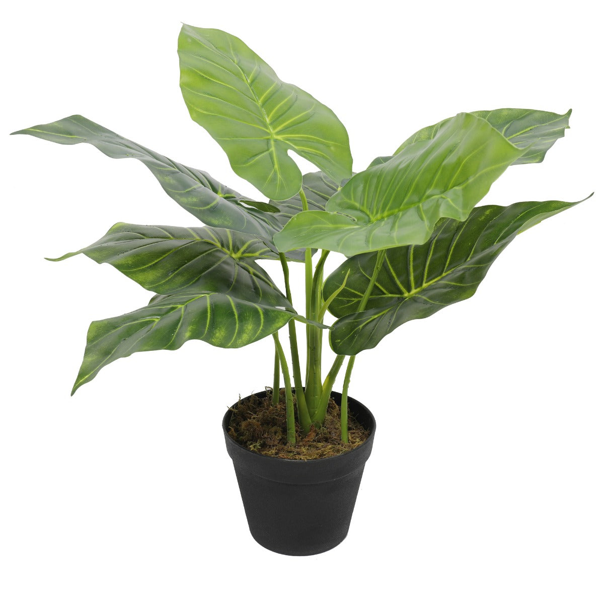 Artificial Potted Taro Plant with lush green leaves in a decorative pot, perfect for indoor decor.