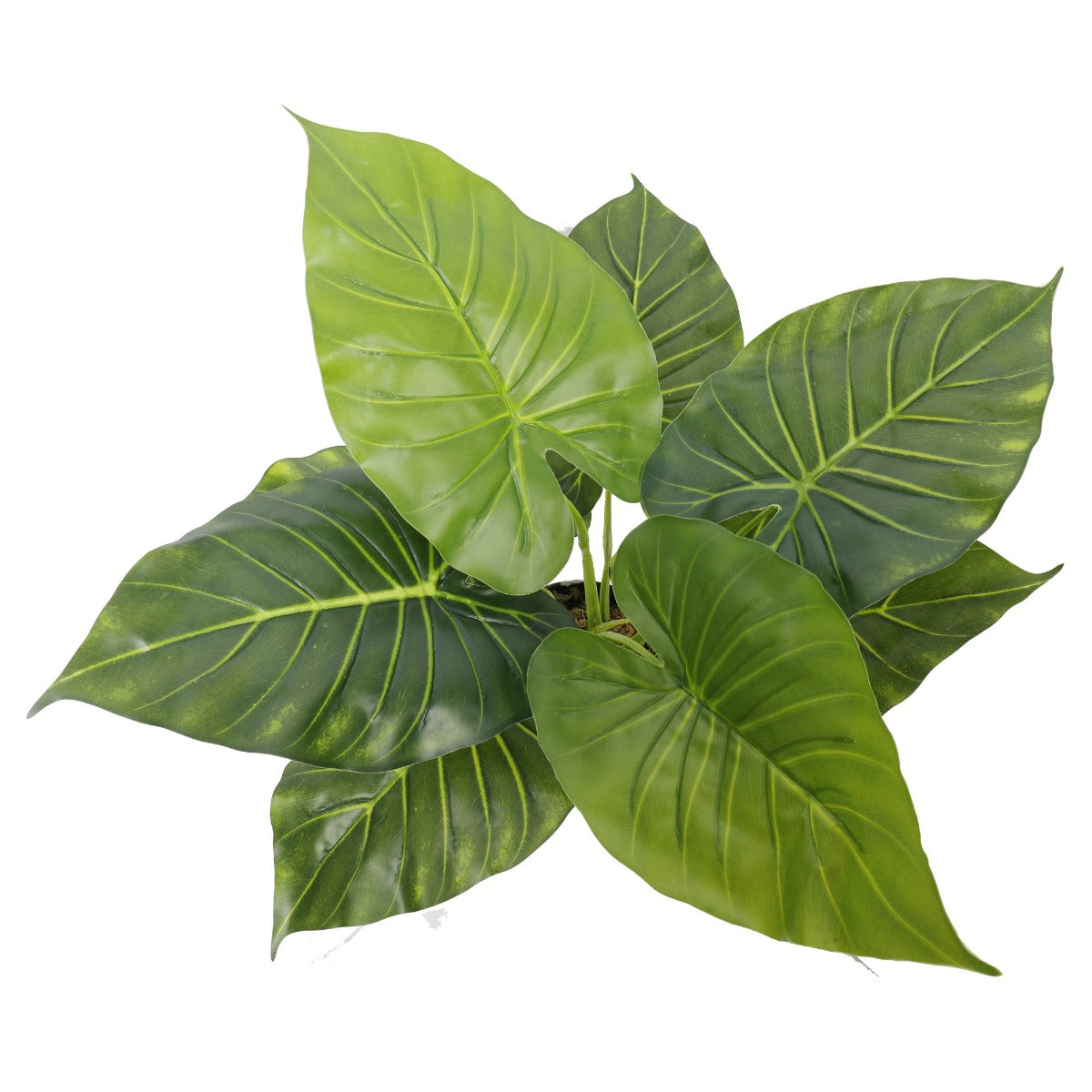 Artificial Potted Taro Plant with lush green leaves in a decorative pot, perfect for indoor decor.