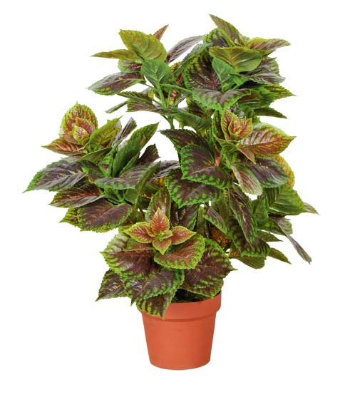 Artificial Purple Perilla plant, 70cm tall, featuring vibrant purple and green leaves in a basic plastic pot.