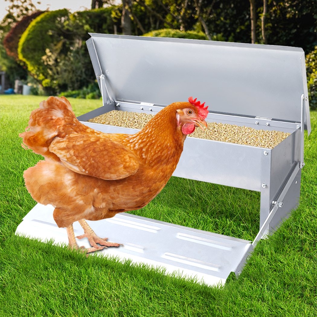 Automatic Chicken Feeder made of galvanized steel, featuring a treadle design for easy access and a large capacity of 5KG.