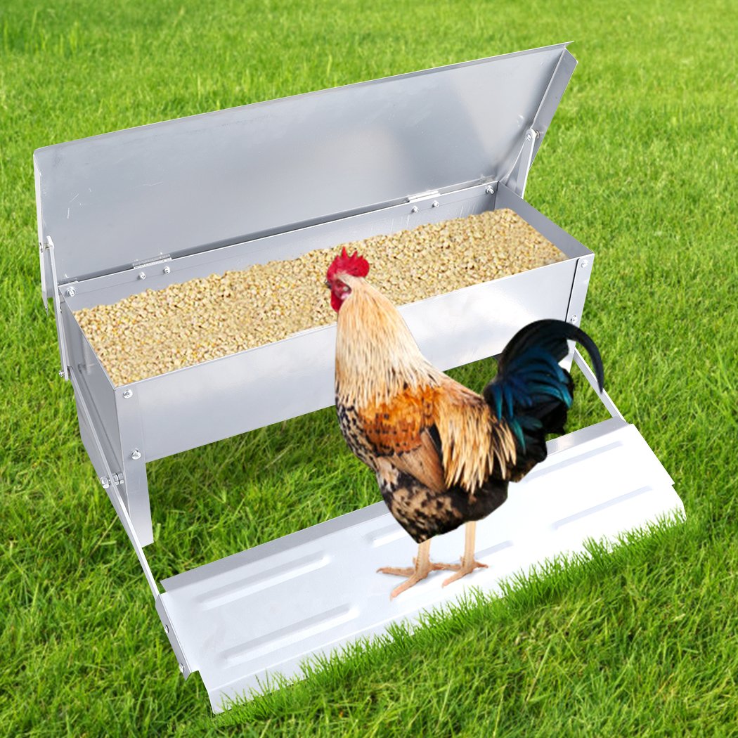 Automatic Chicken Feeder made of galvanized steel, featuring a treadle design for easy access and a large capacity of 5KG.