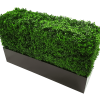 A stylish small black metal planter designed for hedges, featuring a durable powder-coated finish and easy assembly.