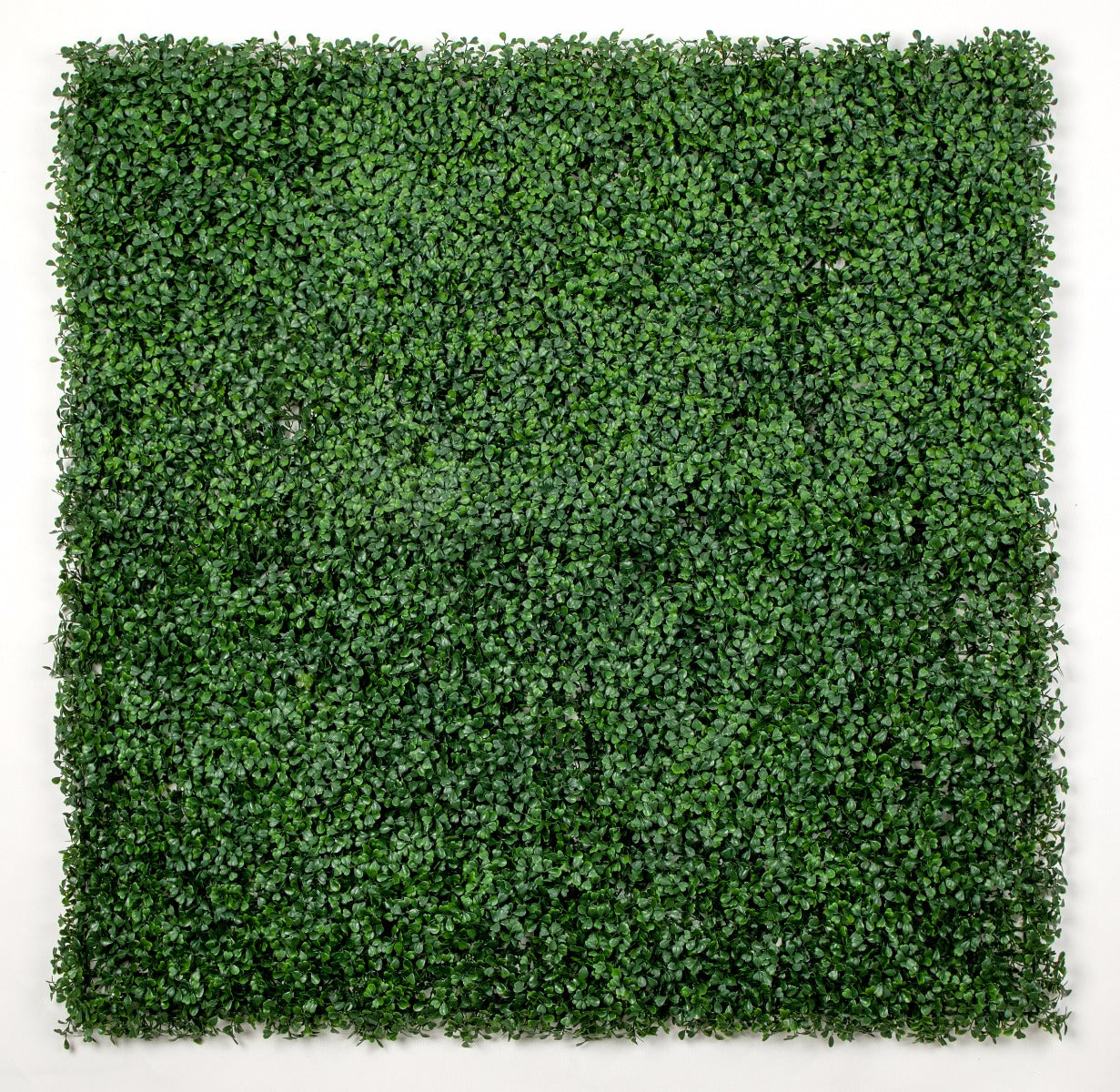 A 1m x 1m UV stabilized artificial boxwood hedge panel, showcasing its lush green foliage and realistic appearance, ideal for indoor and outdoor decoration.