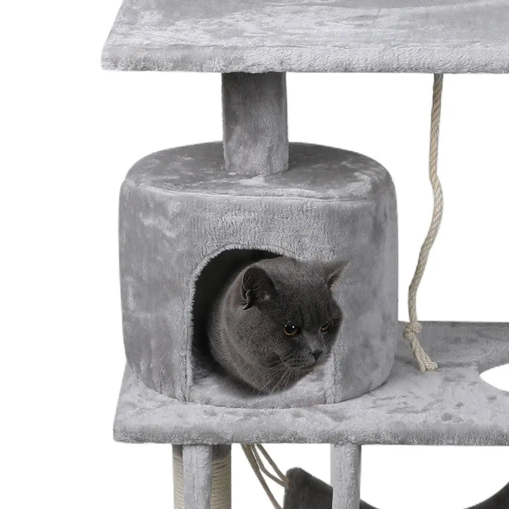 Cat in grey cat tree.