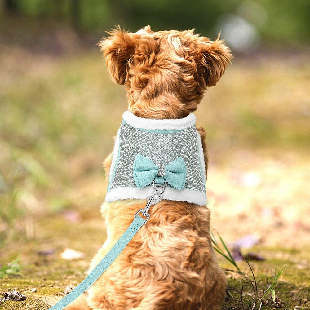 Cute Bowtie Dog Harness and Leash Set featuring bling rhinestones and a warm padded vest, available in black, blue, and pink colors.