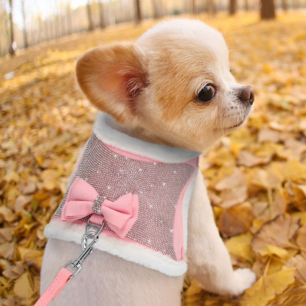 Cute Bowtie Dog Harness and Leash Set featuring bling rhinestones and a warm padded vest, available in black, blue, and pink colors.