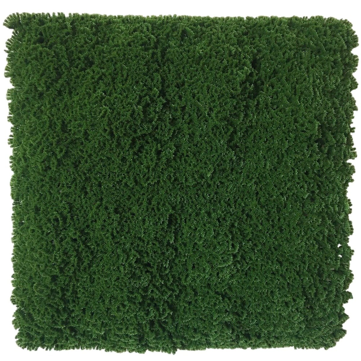 Dark Natural Green Artificial Moss panel, 1m x 1m, showcasing dense imitation moss foliage in vibrant green hues.