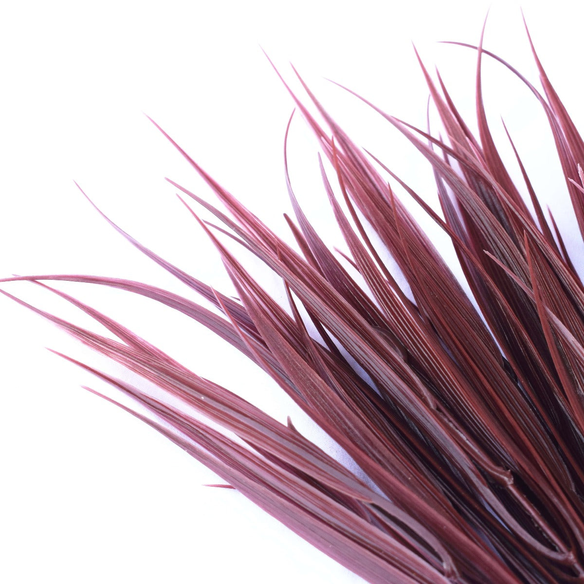 A 35cm long dark red artificial grass stem with maroon and magenta leaves attached to a slender brown stem, showcasing its realistic design.