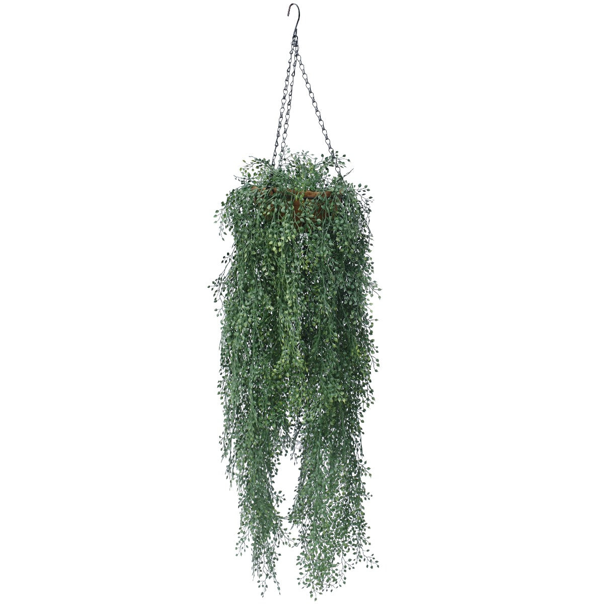 English Hanging Basket 110 cm with lush green foliage in a stylish coconut liner pot, perfect for home decor.