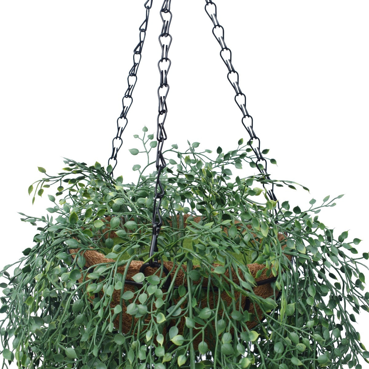 English Hanging Basket 110 cm with lush green foliage in a stylish coconut liner pot, perfect for home decor.