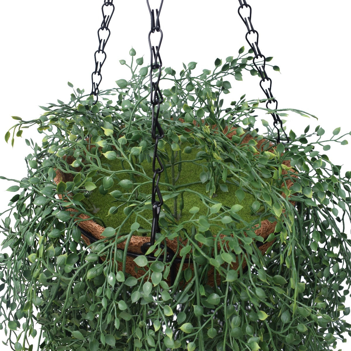 English Hanging Basket 110 cm with lush green foliage in a stylish coconut liner pot, perfect for home decor.