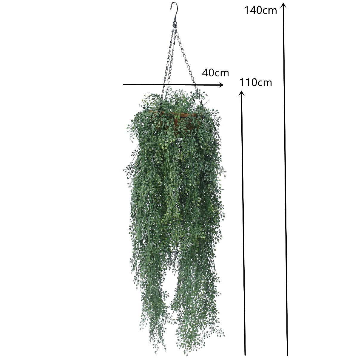 English Hanging Basket 110 cm with lush green foliage in a stylish coconut liner pot, perfect for home decor.