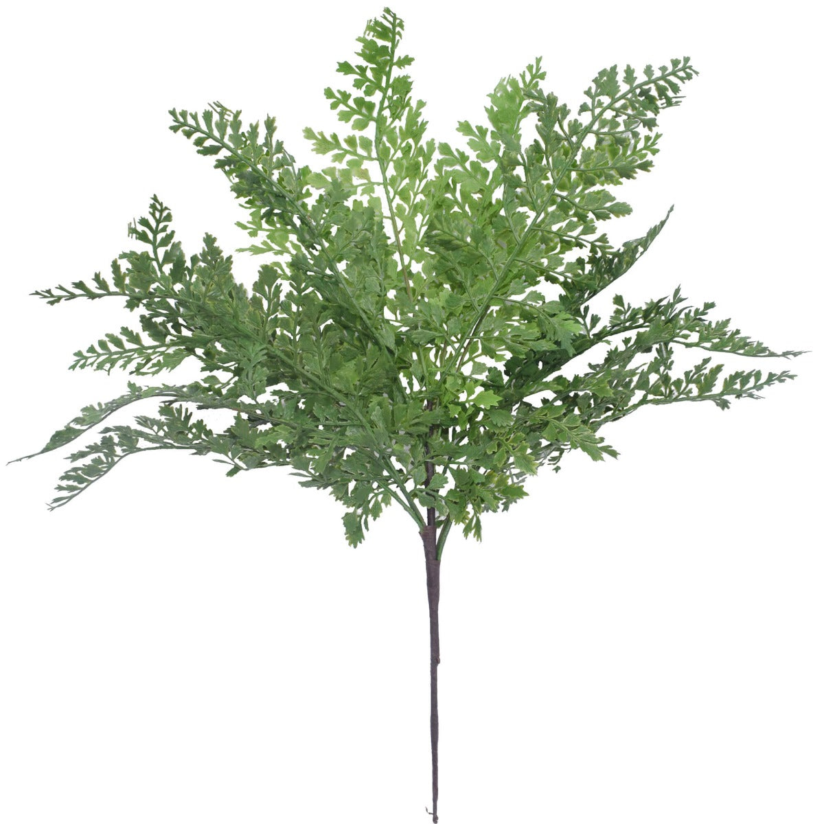 A realistic Faux Maiden Hair Fern Stem 40cm with delicate green fronds and a brown stem, perfect for indoor decoration.