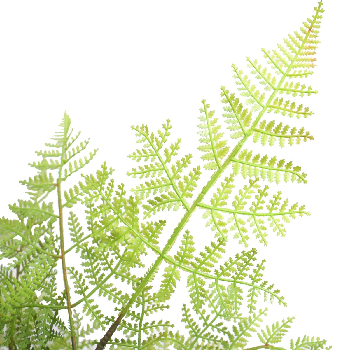 A 90cm tall Faux Natural Fern Tree with lush green fronds, perfect for indoor and outdoor decoration.