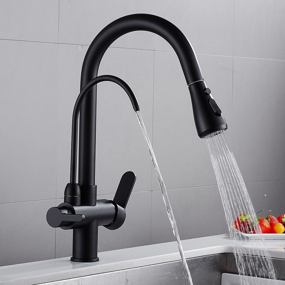 Filter Kitchen Faucet with 360° rotation and dual handles, showcasing brass construction and contemporary design.