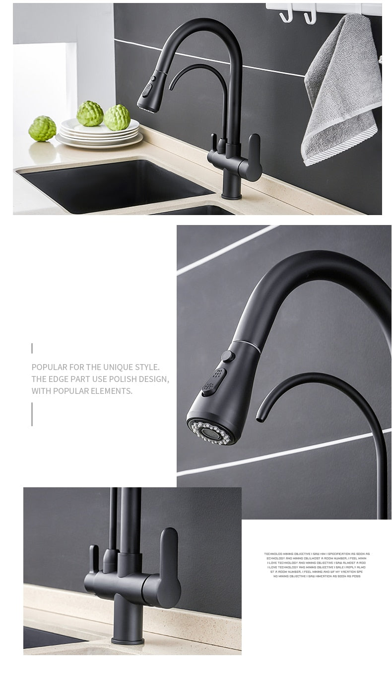 Filter Kitchen Faucet with 360° rotation and dual handles, showcasing brass construction and contemporary design.