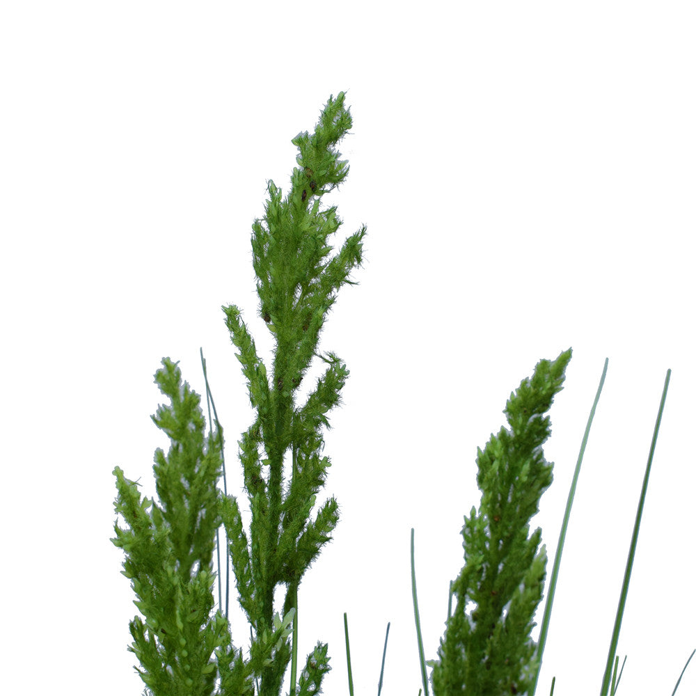 A tall 120 cm artificial Flowering Native Grass with vibrant colors, showcasing lifelike details, perfect for home decor.