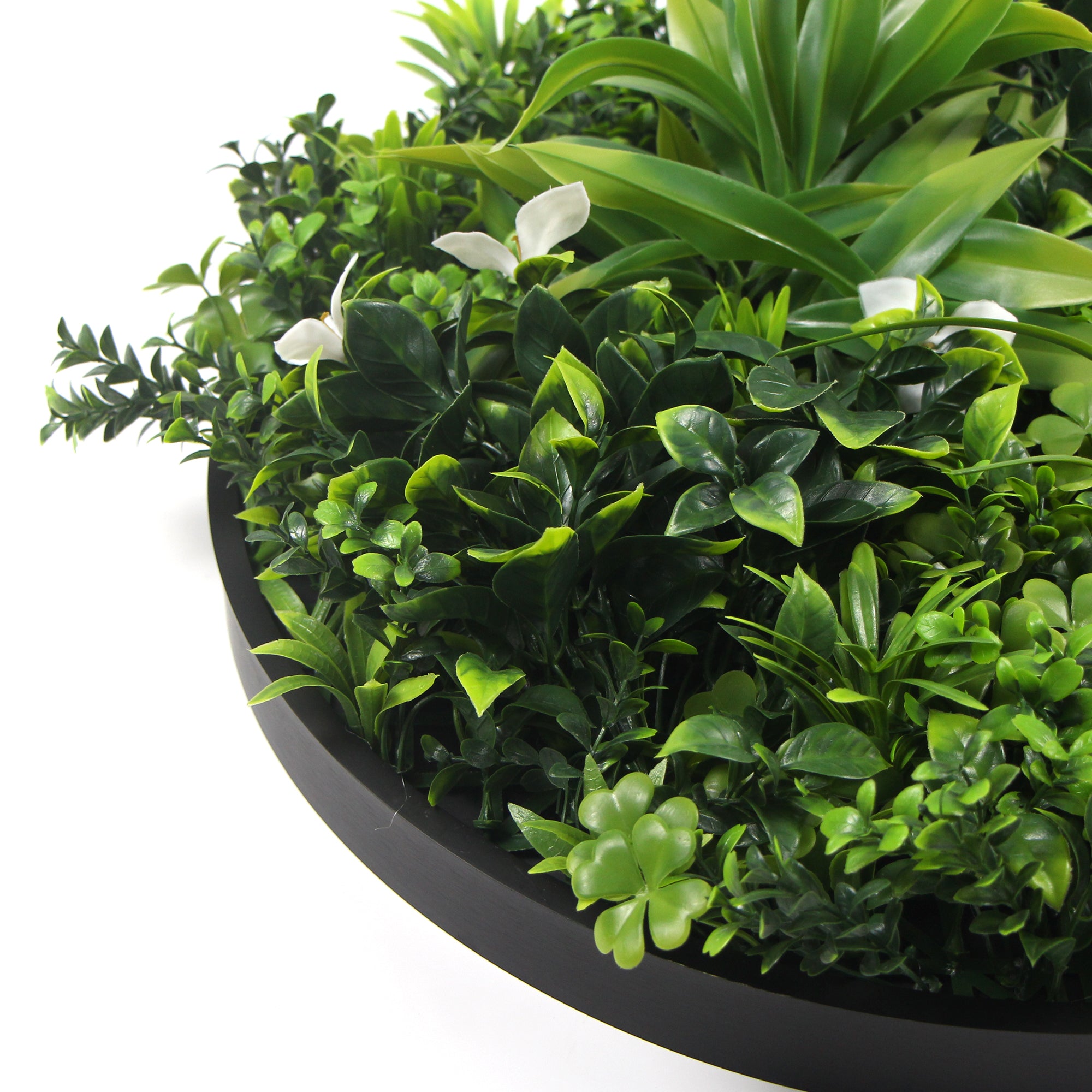 Flowering White Artificial Green Wall Disc with UV-resistant foliage and a black weatherproof frame, measuring 75cm in diameter.