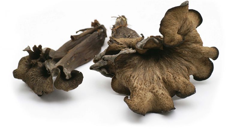 Fresh Black Trumpet Mushrooms showcasing their unique trumpet shape and dark color, perfect for culinary dishes.