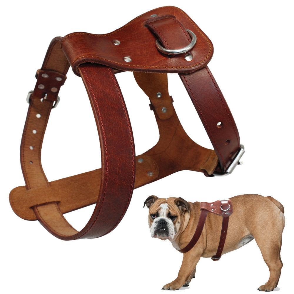 Genuine leather dog harness in brown, designed for medium to large dogs, featuring adjustable straps and padded comfort for walking and training.