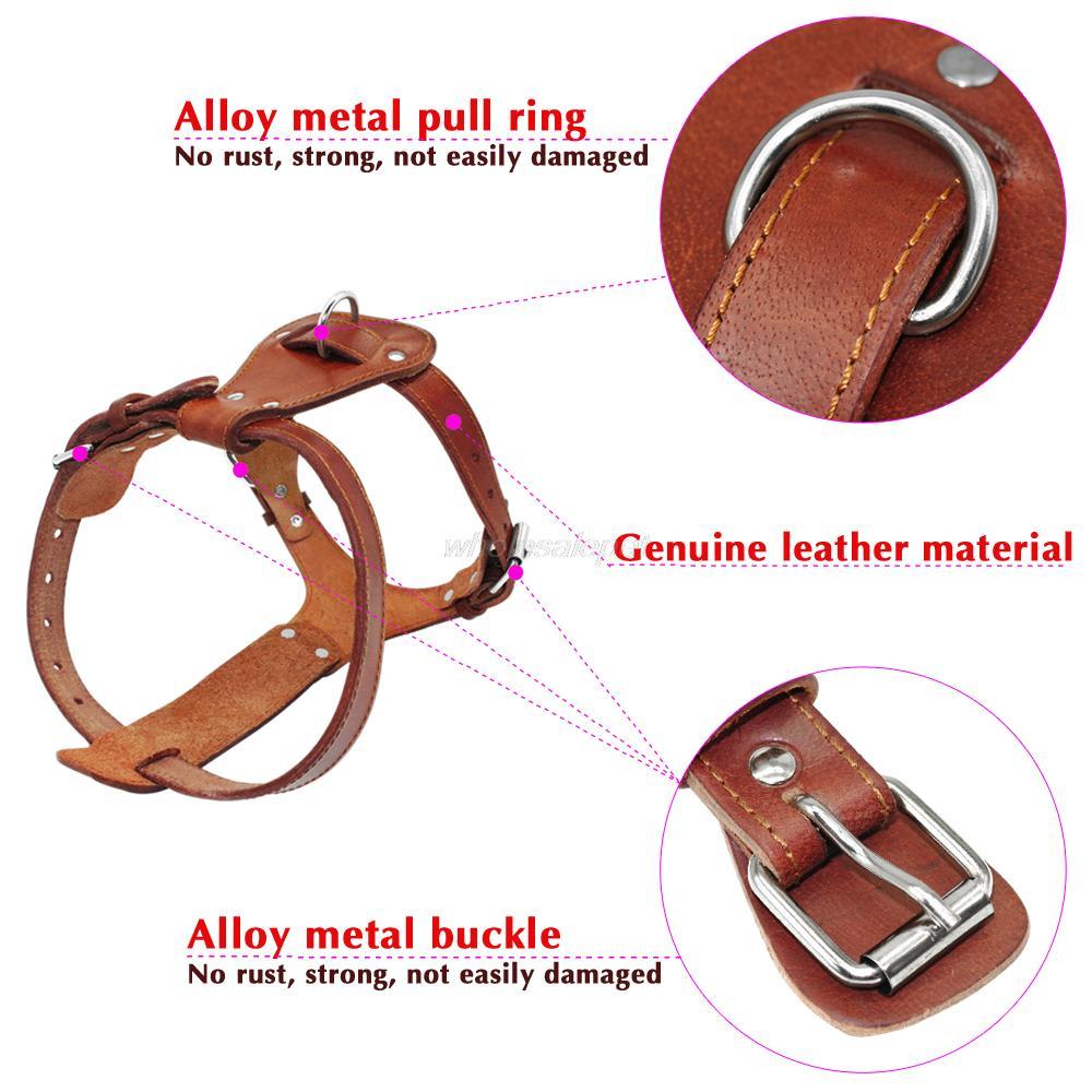 Genuine leather dog harness in brown, designed for medium to large dogs, featuring adjustable straps and padded comfort for walking and training.