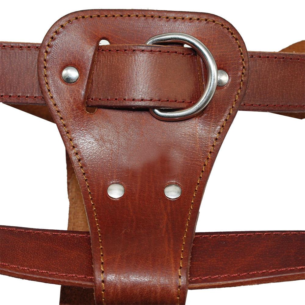 Genuine leather dog harness in brown, designed for medium to large dogs, featuring adjustable straps and padded comfort for walking and training.