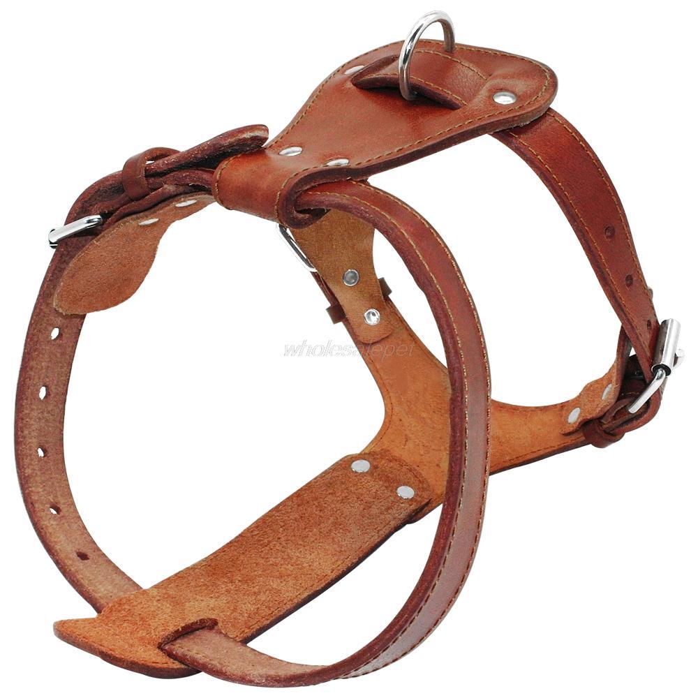 Genuine leather dog harness in brown, designed for medium to large dogs, featuring adjustable straps and padded comfort for walking and training.