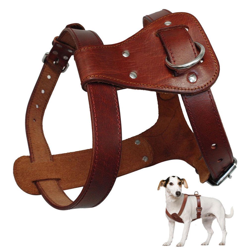 Genuine leather dog harness in brown, designed for medium to large dogs, featuring adjustable straps and padded comfort for walking and training.