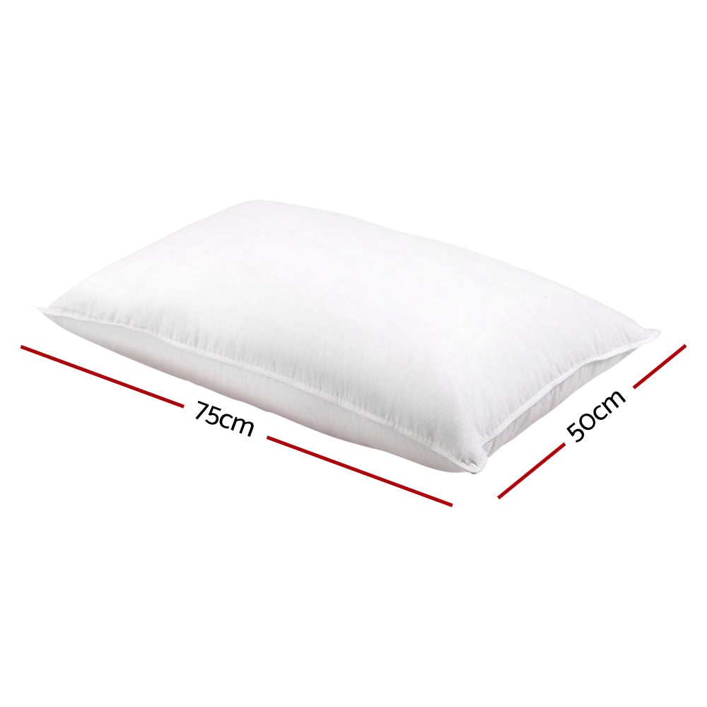 Giselle Bedding Set of 2 Goose Feather and Down Pillows in white, showcasing soft cotton casing and plush filling.