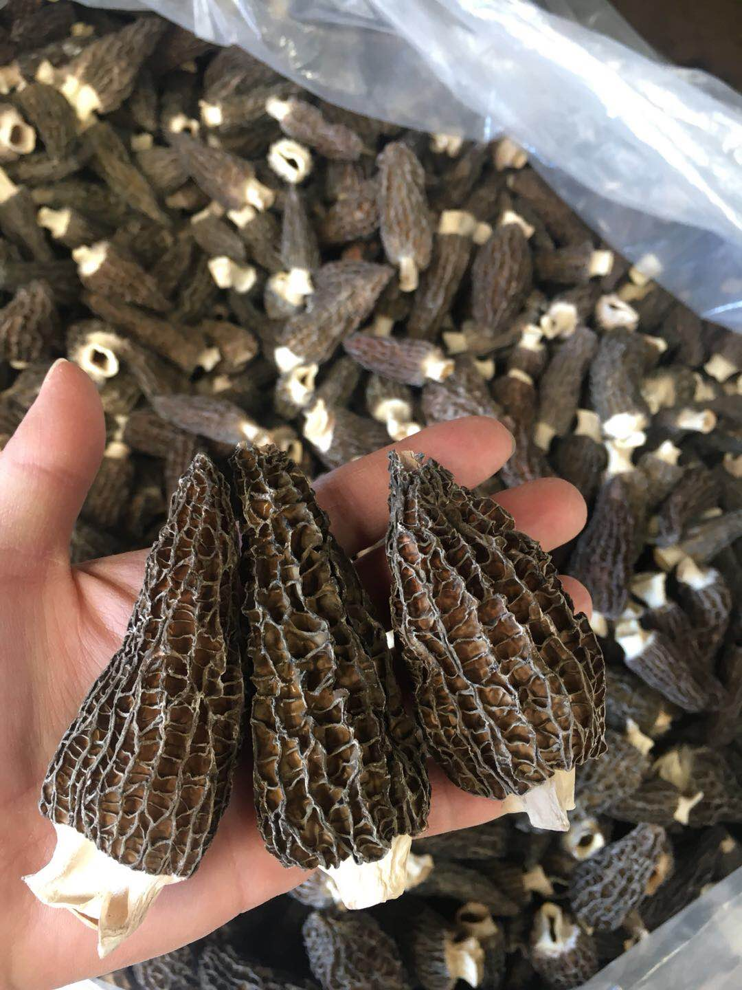 A package of Grade A Dried Morel Mushrooms showcasing their rich texture and earthy color.