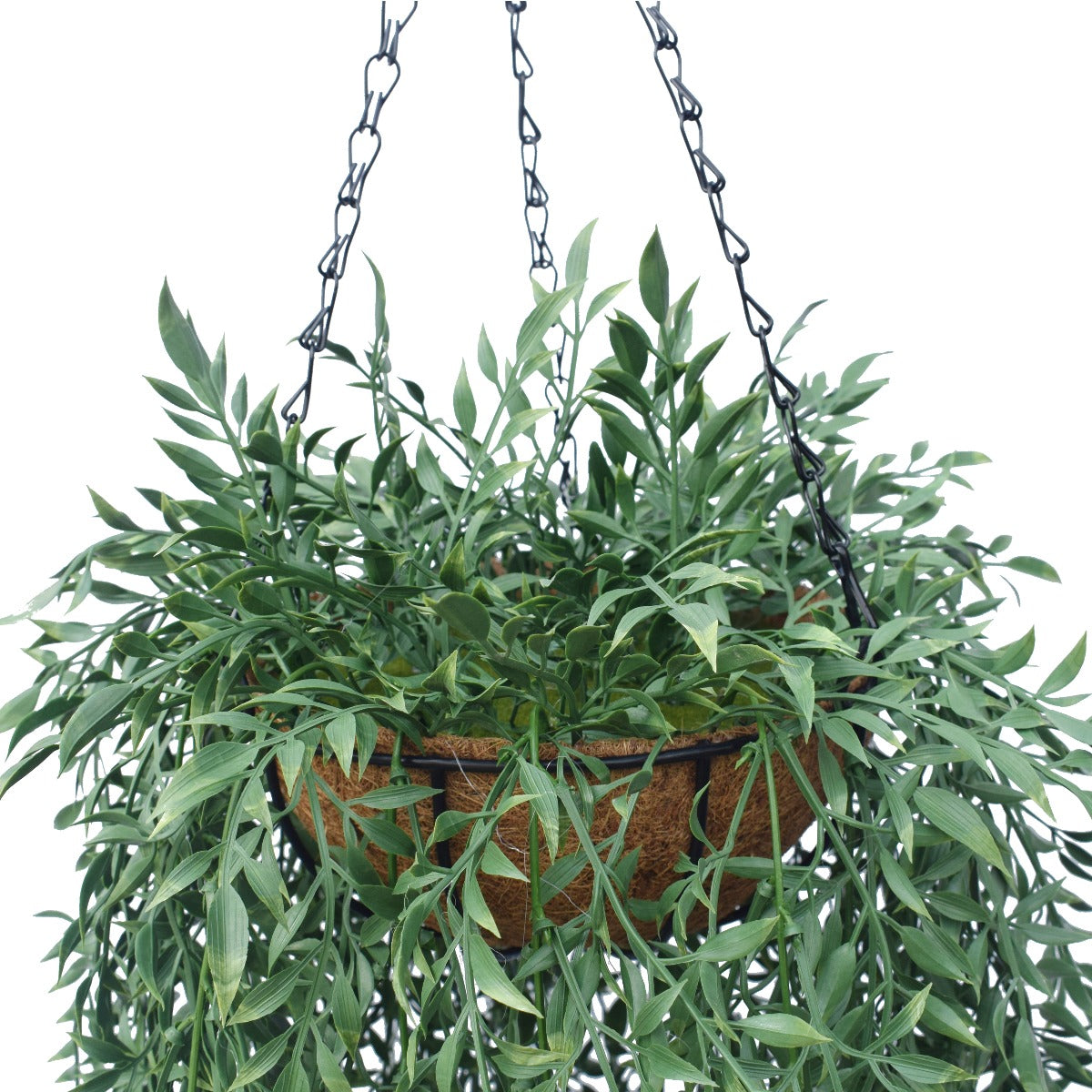 A lush 110 cm artificial hanging fern basket with rich green foliage in a natural coconut liner pot, suspended by a chain.