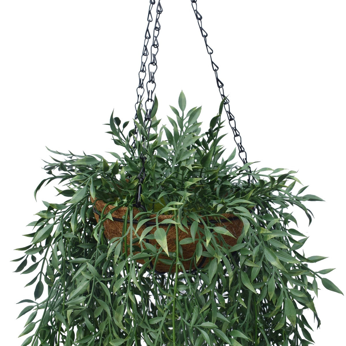 A lush 110 cm artificial hanging fern basket with rich green foliage in a natural coconut liner pot, suspended by a chain.