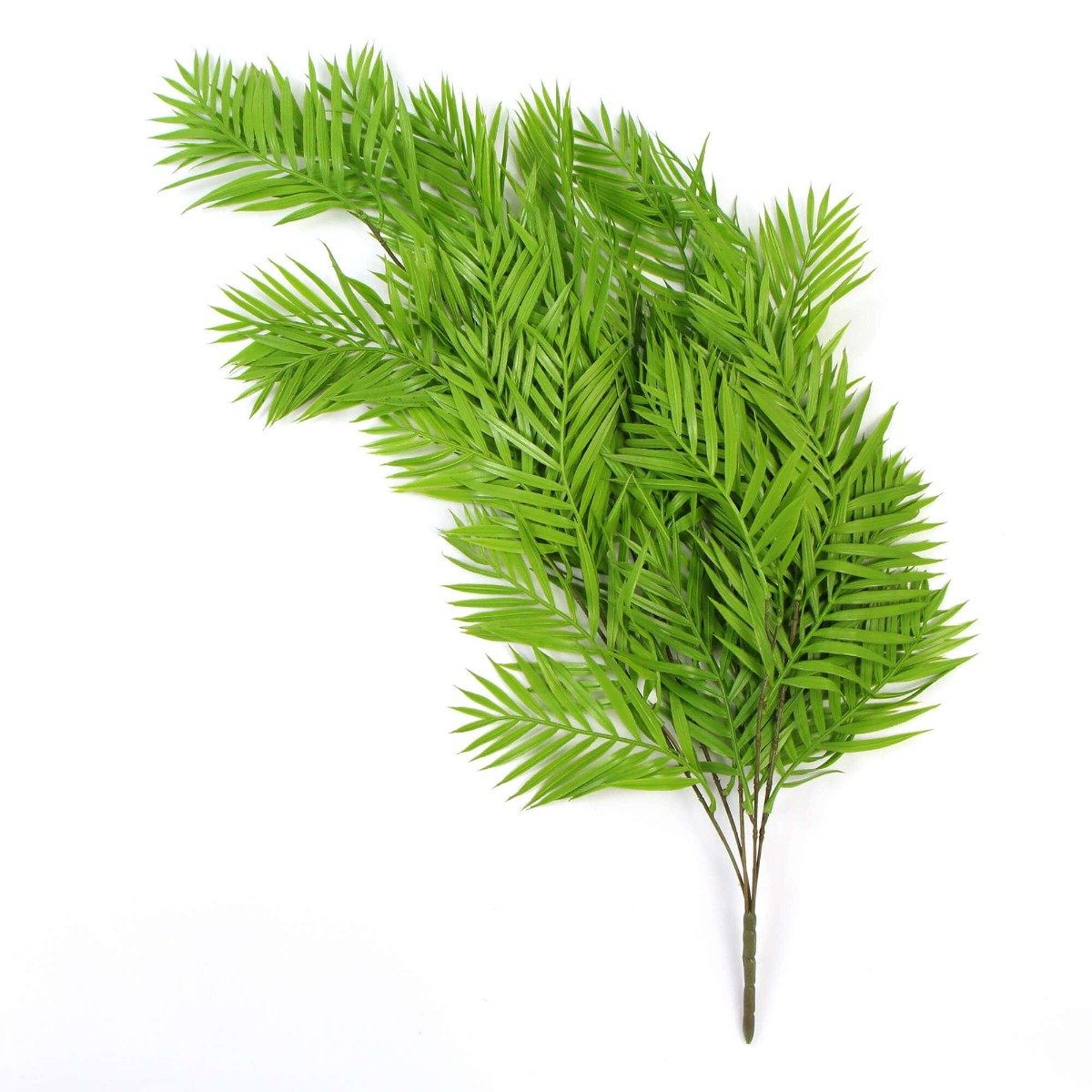 A vibrant Hanging Fresh Green Bamboo Leaf Fern, showcasing lush green leaves and a long stem, perfect for indoor and outdoor decoration.