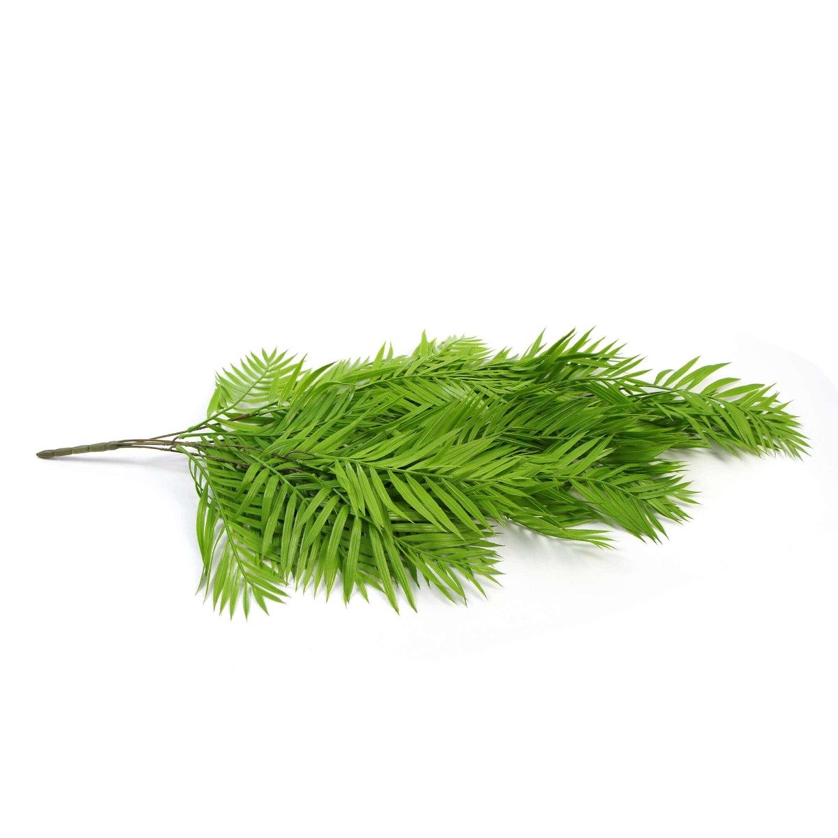 A vibrant Hanging Fresh Green Bamboo Leaf Fern, showcasing lush green leaves and a long stem, perfect for indoor and outdoor decoration.