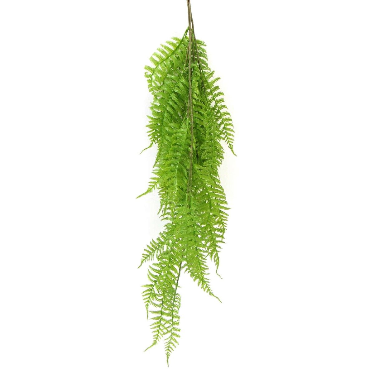 A lush, vibrant Hanging Fresh Green Boston Fern measuring 80cm, showcasing dense foliage and a realistic appearance, perfect for indoor or outdoor decor.