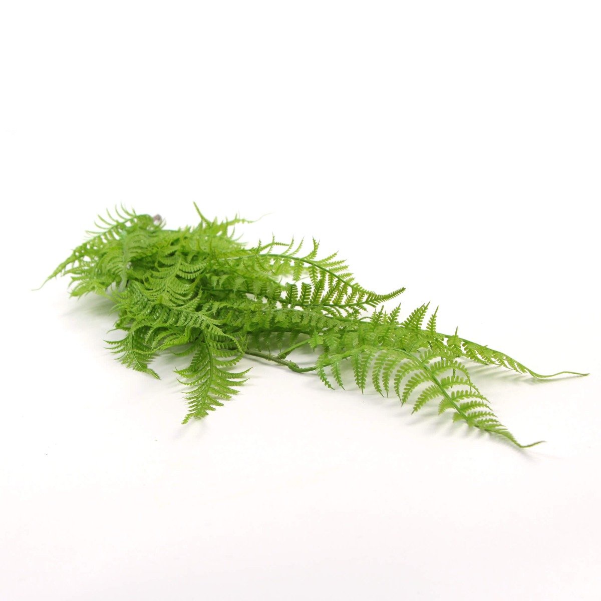 A lush, vibrant Hanging Fresh Green Boston Fern measuring 80cm, showcasing dense foliage and a realistic appearance, perfect for indoor or outdoor decor.