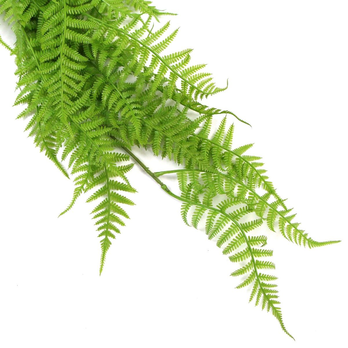 A lush, vibrant Hanging Fresh Green Boston Fern measuring 80cm, showcasing dense foliage and a realistic appearance, perfect for indoor or outdoor decor.