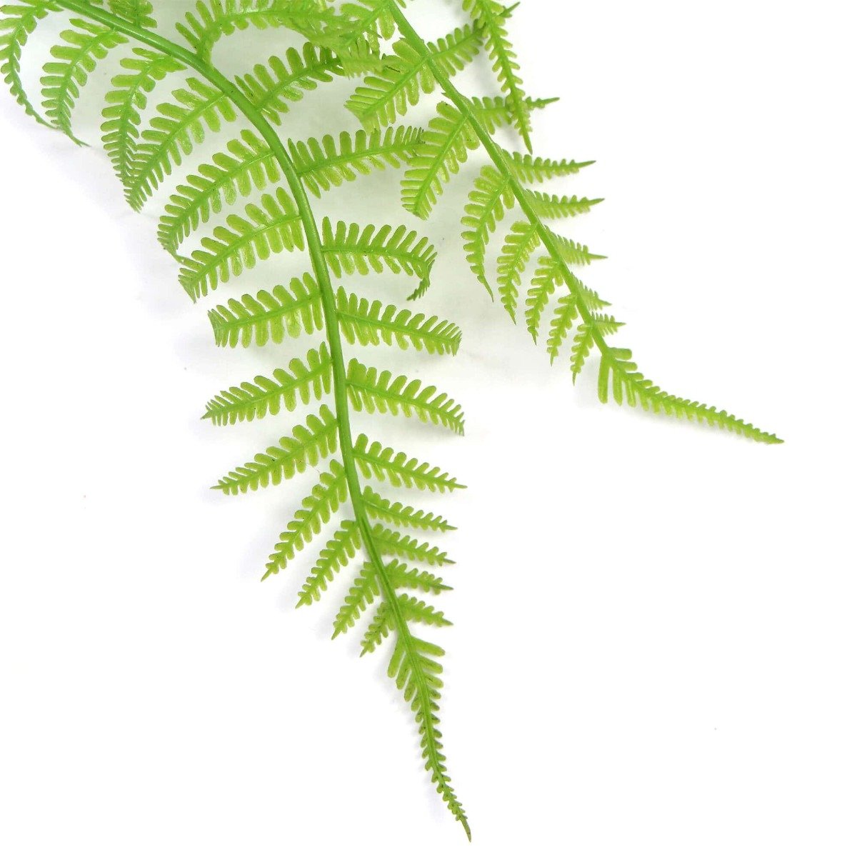 A lush, vibrant Hanging Fresh Green Boston Fern measuring 80cm, showcasing dense foliage and a realistic appearance, perfect for indoor or outdoor decor.