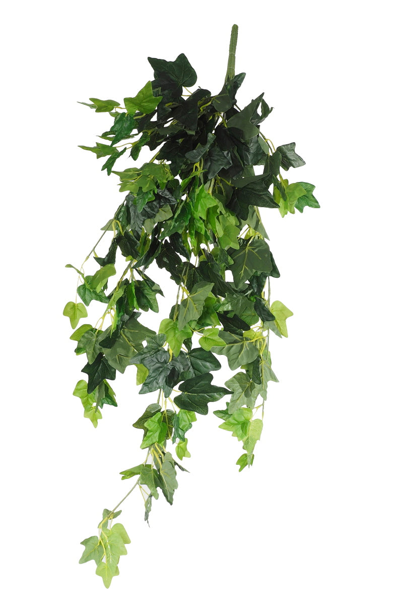 A lush 80cm Hanging Green Ivy Bush with vibrant leaves, elegantly cascading from a central spoke, perfect for home decor.