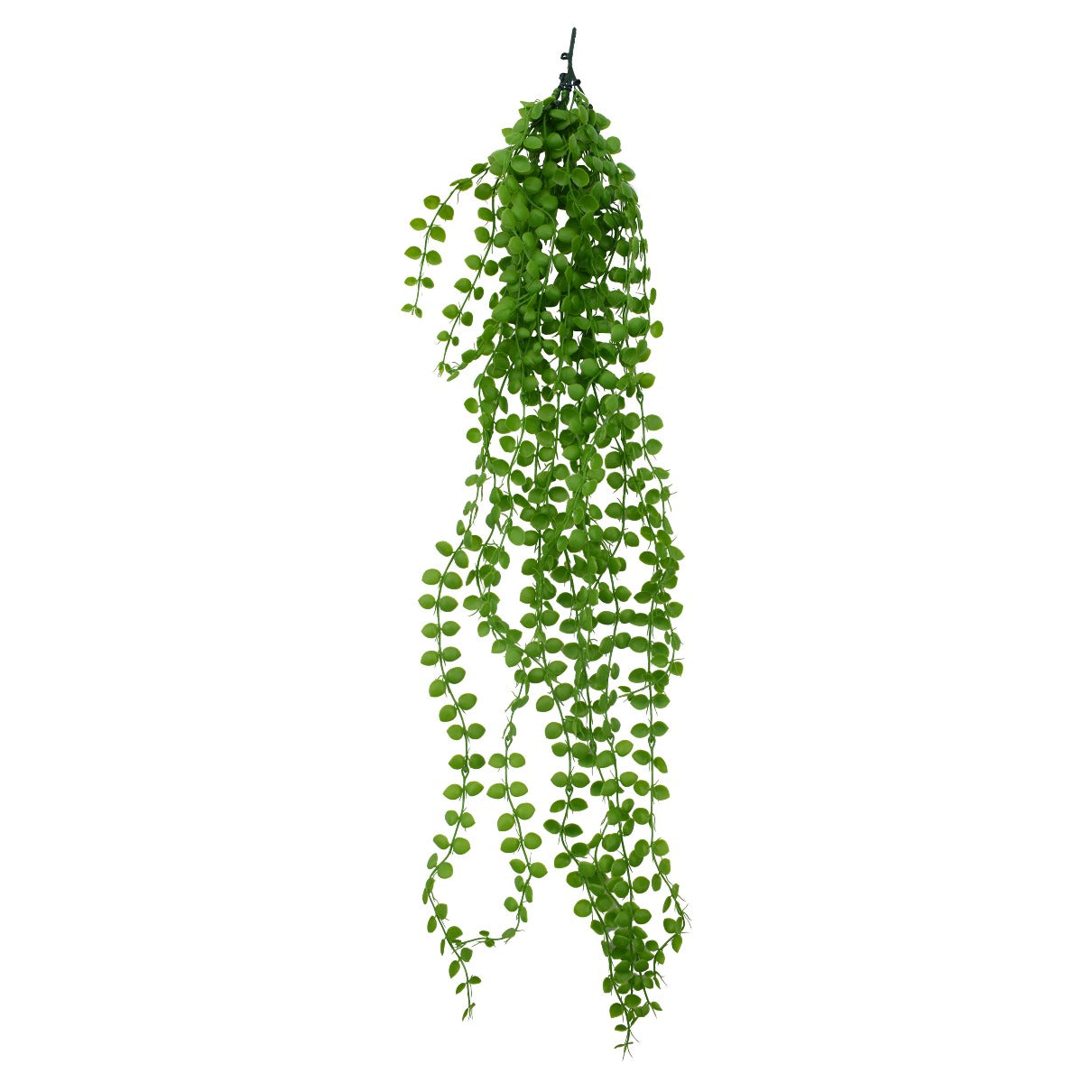 A 90 cm long artificial Hanging Pearls succulent with realistic trailing vines and leaves, perfect for home decor.