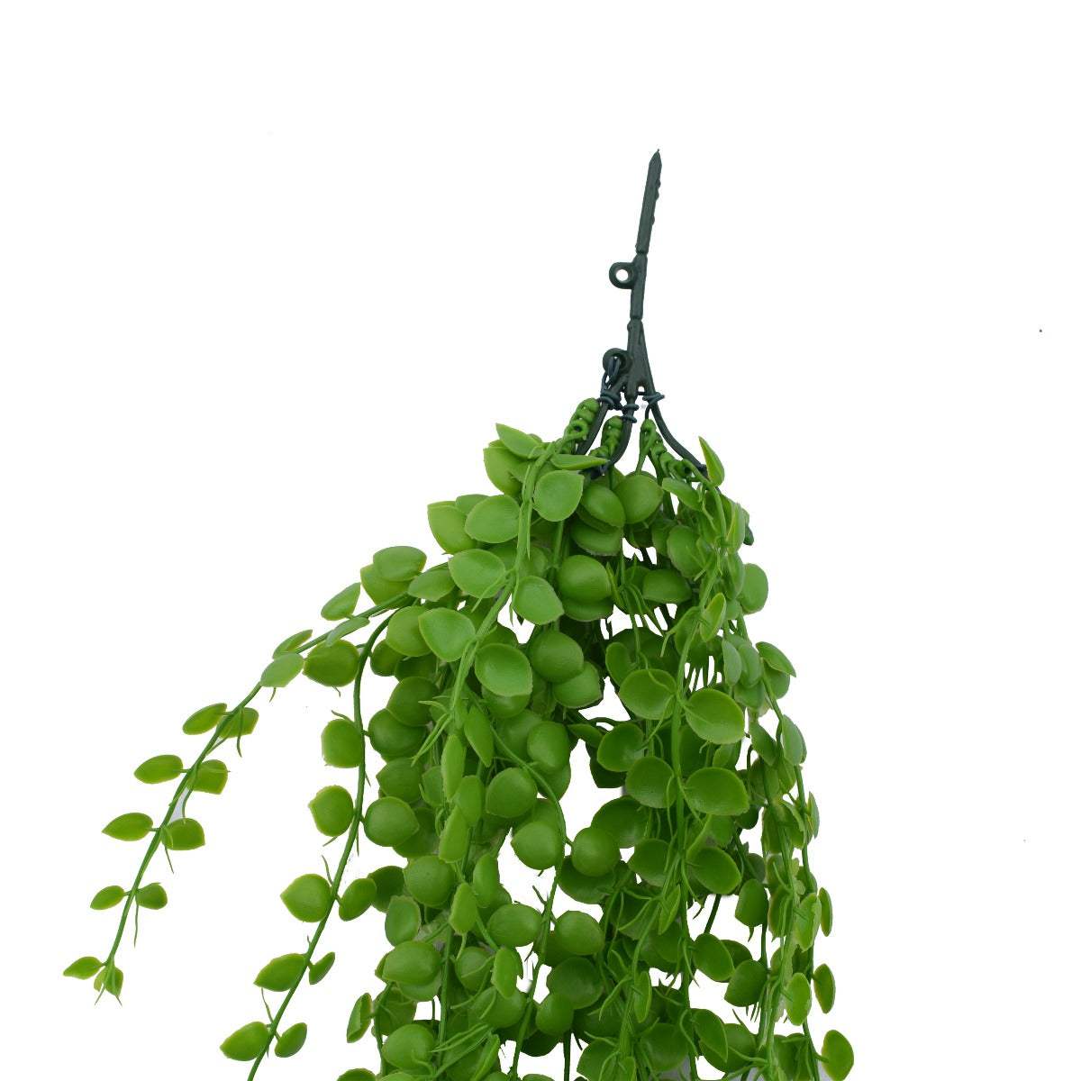 A 90 cm long artificial Hanging Pearls succulent with realistic trailing vines and leaves, perfect for home decor.