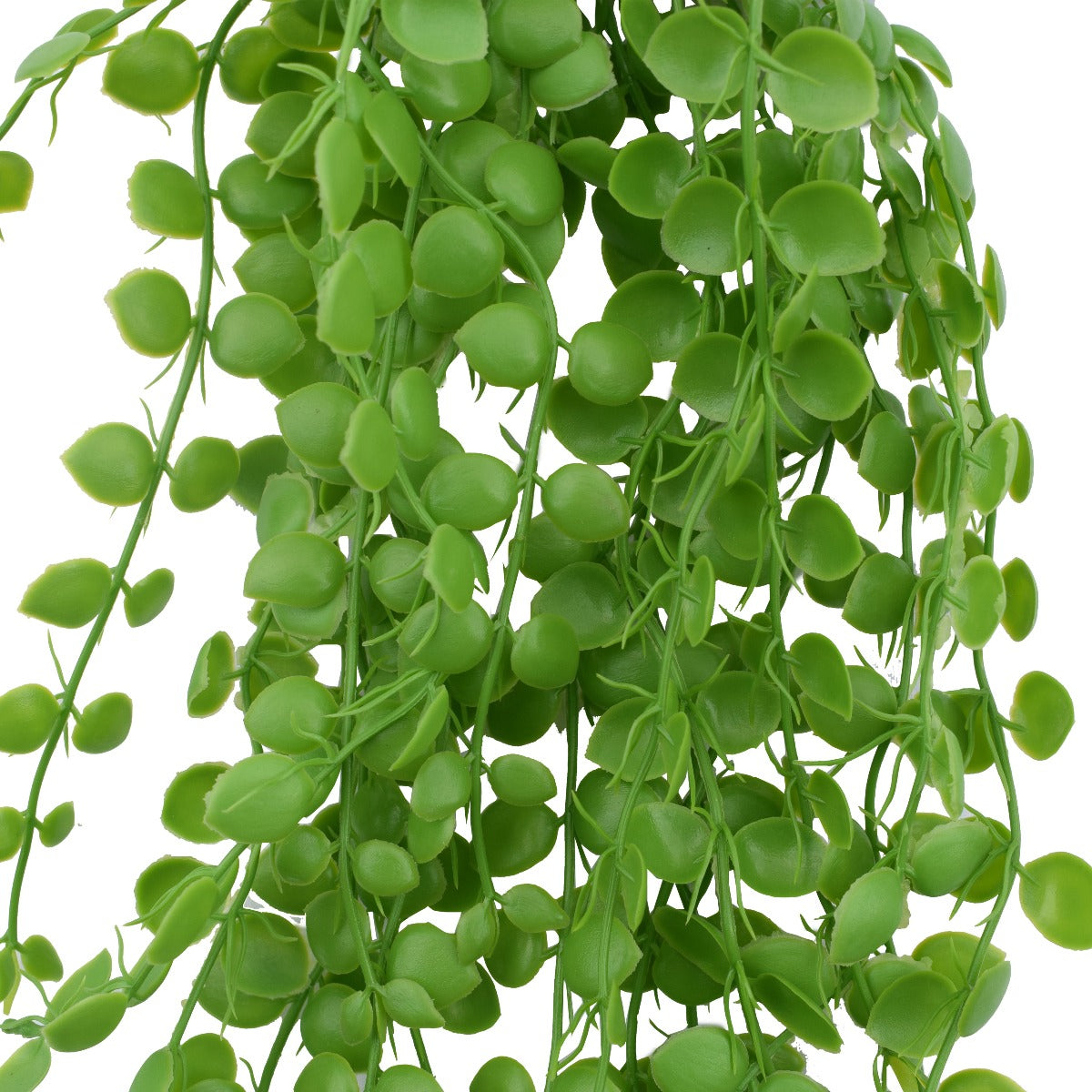 A 90 cm long artificial Hanging Pearls succulent with realistic trailing vines and leaves, perfect for home decor.